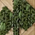 Wooden Base Vertical Garden 3D model small image 2