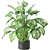 Tropical Oasis - Indoor Plants Collection 3D model small image 1