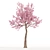 Cherry Blossom Tree - Spring Beauty 3D model small image 2