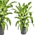 Lush Greens Indoor Plant Collection 3D model small image 1