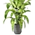 Lush Greens Indoor Plant Collection 3D model small image 3