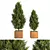 Lush Outdoor Plant Set 3D model small image 1