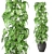 Indoor Plant Collection: Set 279 3D model small image 1