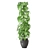 Indoor Plant Collection: Set 279 3D model small image 4