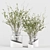 Glass Vases with Decorative Branches 3D model small image 1