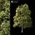 Lush 2014 Landscape Tree 3D model small image 1