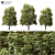 Lush 2014 Landscape Tree 3D model small image 2