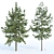 Evergreen Conifer Trees Collection 3D model small image 4