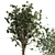 Indoor Plant Collection: 63 Varieties 3D model small image 4