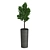 Dark Ceramic Pot Plant 3D model small image 3