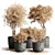 Autumn Vibes: 64 Stone Pots & Dry Tree Indoor/Outdoor Plant Collection 3D model small image 1