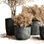 Autumn Vibes: 64 Stone Pots & Dry Tree Indoor/Outdoor Plant Collection 3D model small image 3