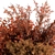 Vibrant Mixed Plant Bush - 70 Bush Set 3D model small image 3