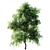 Versatile 2015 Tree Set 3D model small image 2