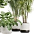 Tropical Paradise: Indoor Plant Set 3D model small image 4