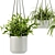 28-Plant Indoor Set: Green Up Your Space 3D model small image 3