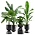 Tropical Indoor Plants Pack 3D model small image 1