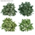 Nature's Oasis Bush Collection 3D model small image 1