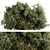 Gorgeous Mixed Plant Bush Set 3D model small image 1