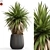 Exquisite Plant Assortment - 689 3D model small image 1