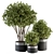 indoor Plant Set 375- Tree and Plant Set in pot 3D model small image 1