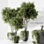 Whimsical Indoor Plant Sculpture 3D model small image 1