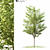 2014 Landscape Tree 5m Corona 3D model small image 1