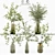 Premium Indoor Plant Model Kit 3D model small image 1