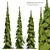 Cascade White Spruce Trio 3D model small image 1