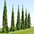 Cascade White Spruce Trio 3D model small image 3