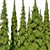 Cascade White Spruce Trio 3D model small image 4