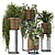 Rattan Pot Indoor Plants Set 3D model small image 1