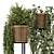 Rattan Pot Indoor Plants Set 3D model small image 2