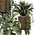 Rattan Pot Indoor Plants Set 3D model small image 4