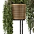 Rattan Pot Indoor Plants Set 3D model small image 6