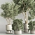 Modern Indoor Plant Set 3D 3D model small image 4