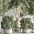 Modern Indoor Plant Set 3D 3D model small image 5