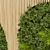 Premium Plant Collection 331: Fitowall Leaf 3D model small image 3