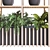 Modern Indoor Plant Set 2015 3D model small image 2