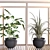 Modern Indoor Plant Set 2015 3D model small image 4