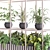 Modern Indoor Plant Set 2015 3D model small image 5