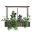 Modern Indoor Plant Set 278 3D model small image 2