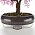 Serene Bonsai Tree Model 3D model small image 2