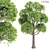 Premium Outdoor Trees Collection Vol.93 3D model small image 2