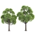 Premium Outdoor Trees Collection Vol.93 3D model small image 3