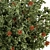  Blooming Bush Set 75 3D model small image 2