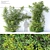  Twin Vine Plants, 3.5m Height 3D model small image 1