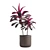 Exotic Indoor Plants Pack 14 3D model small image 6