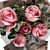 Rose Bouquet Render Scene Bundle 3D model small image 4