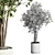 Benjamin Ficus Tree & Concrete Vase 3D model small image 5